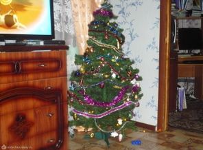 Наша елочка. Вчера нарядили.