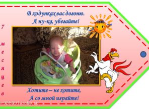 7 месяцев