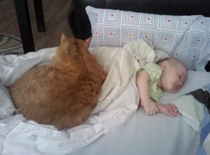 IMG_20120627_124056