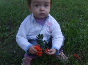 DSCF5316