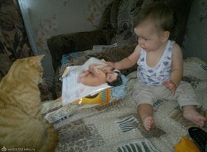 Ну, Рыжая, я же тебе говорил:" не трогай мой журнал!"