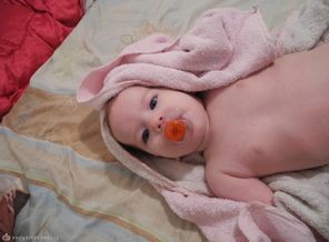 DSCN6791