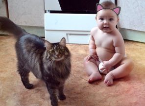 Мой котеночек с любимым котом