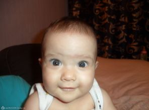 SAM_0833