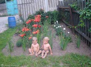 мои кнопочки)))