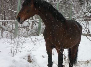 Секрет