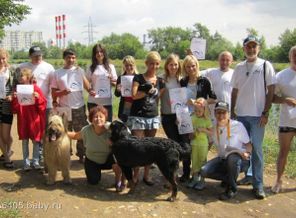 команда 13 дельфинов…
