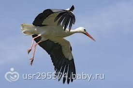 Где ты?))))))