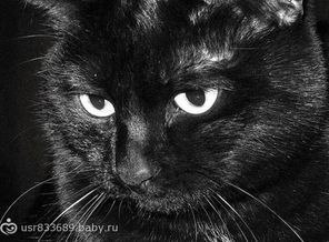 кссс....)))