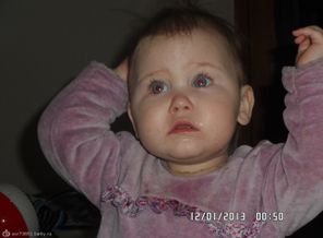 SAM_0387
