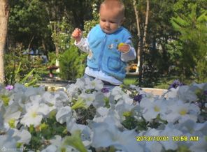 SAM_2033