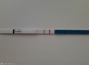 2013-08-26 08.26.42