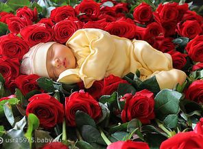 getImage
