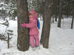 зимняя прогулка