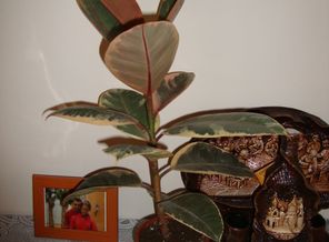 DSC01755