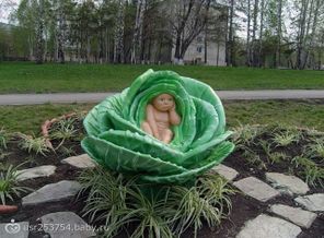 getImage (44)