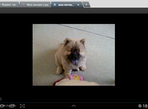 Screenshot_2013-10-05-18-31-59