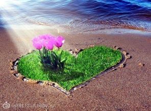 getImage (17)