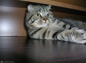 P1010096