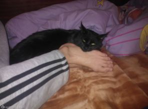 мой томик