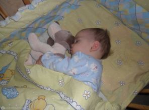 SAM_1639