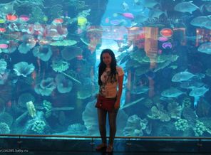 IMG_3584