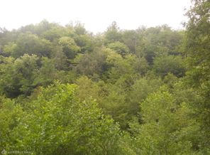 DSCN3542