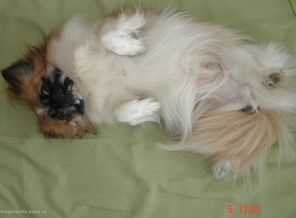 Моя малышка... которой больше нет(((