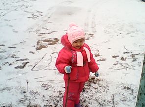 IMG_0025