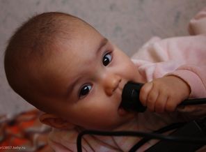 IMG_0029
