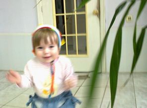 15082012302
