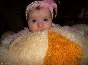 SAM_3642