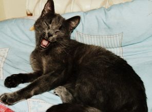 Клёпа моя=)