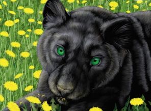 1247313518_panther_in_dandelions_by_kivuli