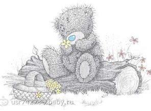teddy-seekcodes(124)