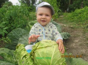 Прогулка по огороду