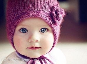 big_fotometki_image_525fb0aa