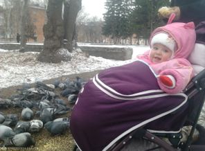 знакомство с голубями))))))))))