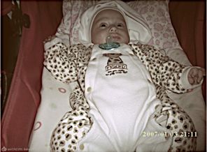 тигруля