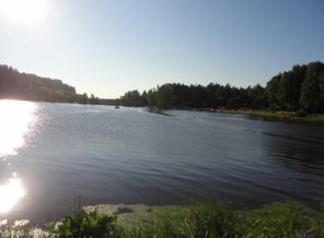 DSC02676