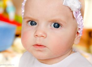 IMG_8095-2-2