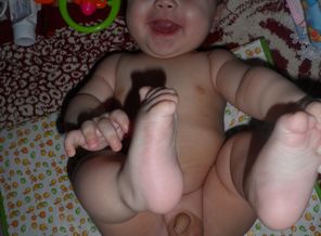 SAM_0238