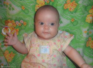SAM_0403