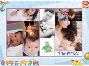 Начало новой жизни
