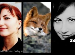 Лиса))))