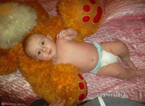 SAM_1869