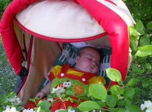 Сон в яблоневом саду