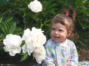 SAM_1681