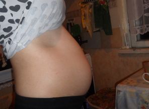 SAM_0557