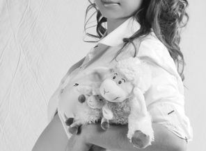 DPP_0082-1
